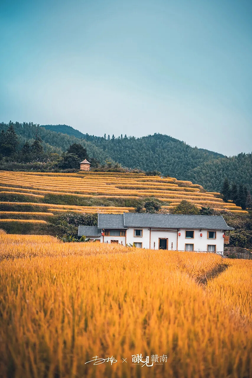 赣州市崇义县上堡梯田