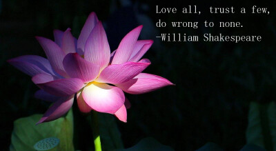 Love looks not with the eyes, but with the mind, And therefore is winged Cupid painted blind.
-William Shakespeare 