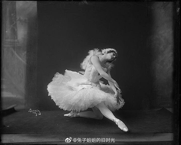 [安娜·帕夫洛娃（Anna Pavlova）由赫尔曼·米什金（Herman Mishkin）拍摄。
这套老式的玻璃板底片中，记录了著名的芭蕾舞女演员帕夫洛娃出演过的经典角色图像，例如米歇尔·福金（Michel Fokine）专门为她编排的“垂死的天鹅”。 