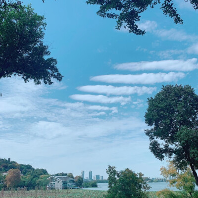 泼墨的阶梯☁️