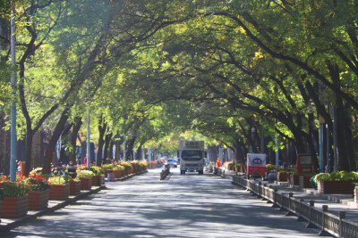 横眉摄影
北京三里屯、太古里。