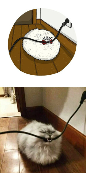 猫咪
Tactooncat
印度尼西亚艺术家