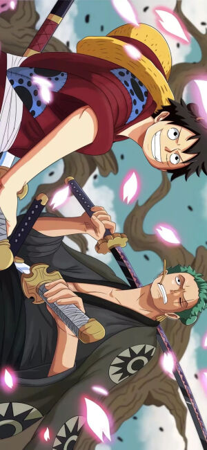 海贼王壁纸 路飞 索隆