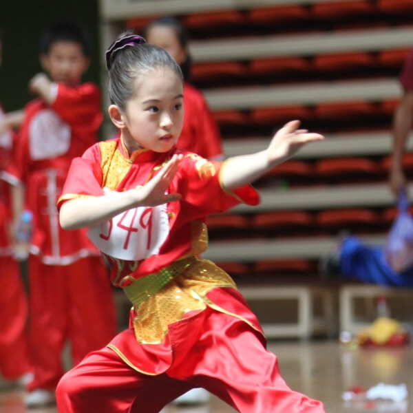 武术少年