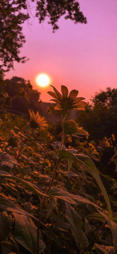 这个季节