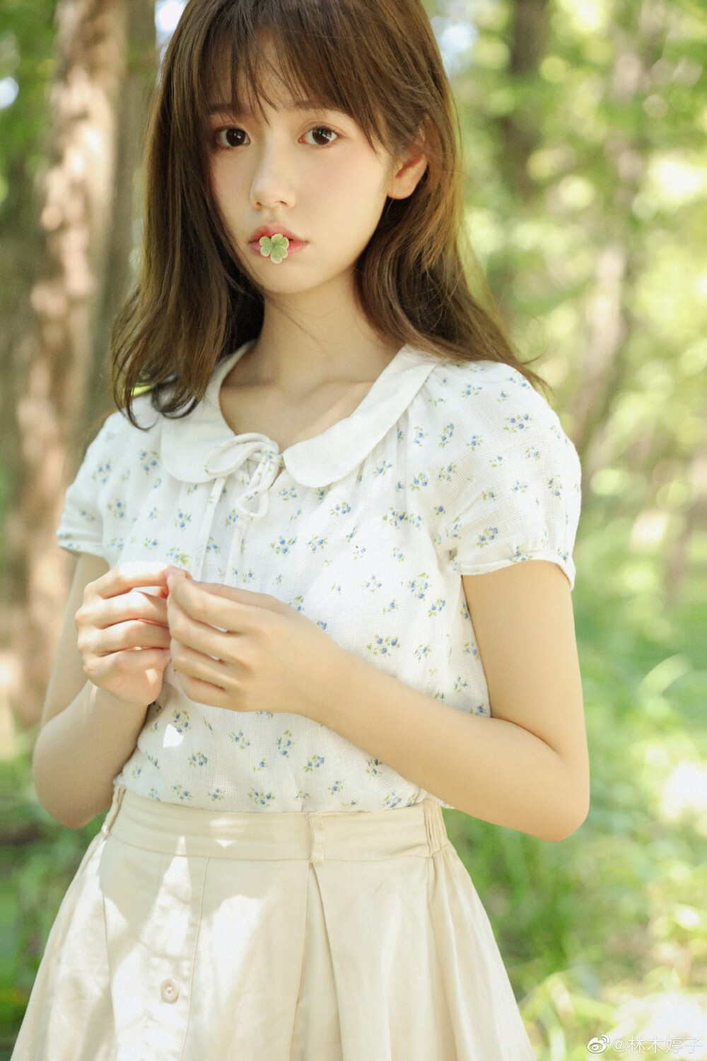 耶又奔跑过一个夏天