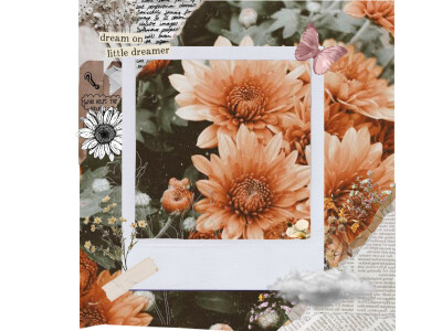 卡通人像图源微博～p3模版