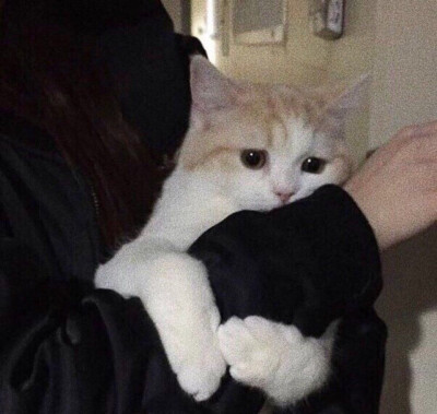 「秋意當然的路上總是愛意關漫」