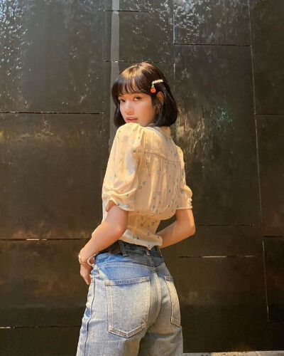 Lisa壁纸