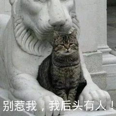 别惹我，我后头有人