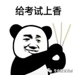 考试 表情包