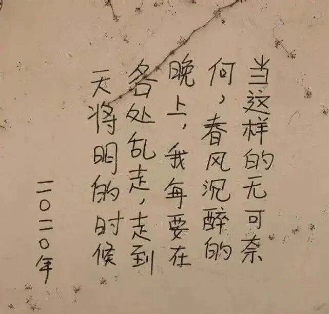 喜欢文字