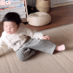 丸丸