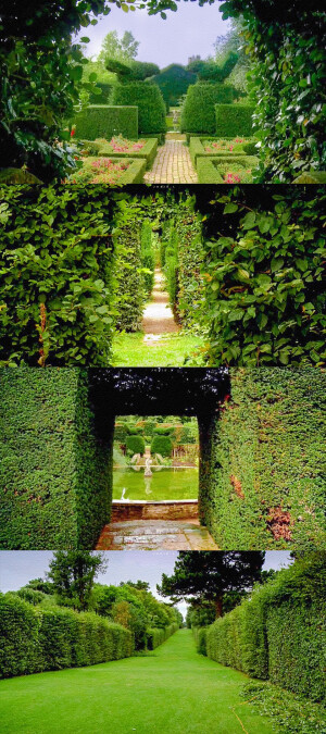 Hidcote: A Garden for All Seasons 希德寇特四季花园(BBC) 截修
[weibo@Josie_L阿心]