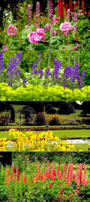 Hidcote: A Garden for All Seasons 希德寇特四季花园(BBC) 截修
[weibo@Josie_L阿心]