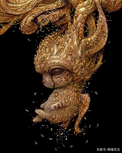 服部直人（Naoto Hattori）