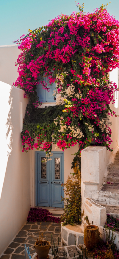 ❥➼
❝五彩斑斓～是你爱的世界❞