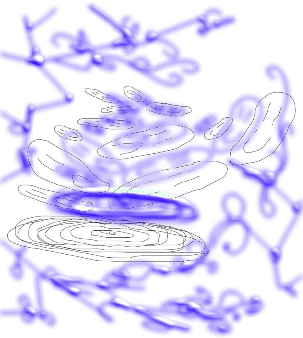 ID 抚舐 二传注明