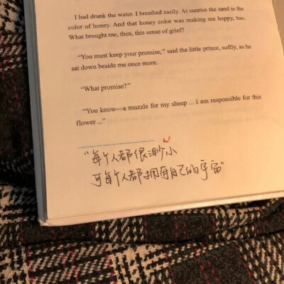 ”成长就是你主观世界遇到客观世界之间的那条沟，你掉进去了，叫挫折，爬出来了，叫成长。”