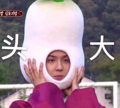 c语言视频教程下载