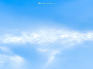 -蓝色的背后是纯净-

©岛上邮报-