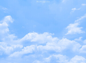 -蓝色的背后是纯净-

©岛上邮报-