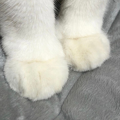  P̶i̶c̶t̶u̶r̶e̶ m̶e̶ g̶o̶n̶e