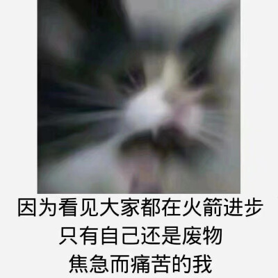 可爱表情包