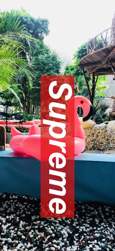 Supreme