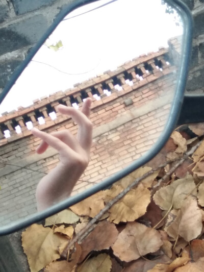 （ '▿ ' ）