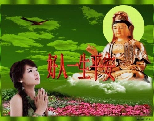 中老年表情包