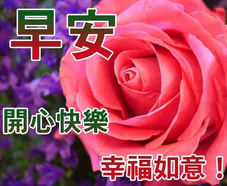 中老年表情包