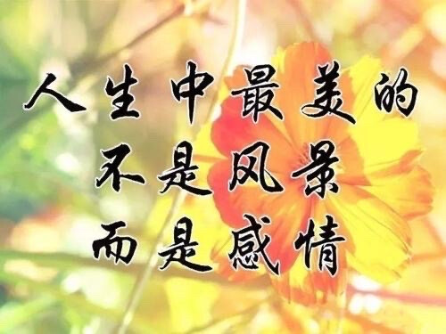 中老年表情包