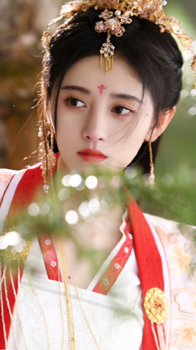 如意芳霏海报