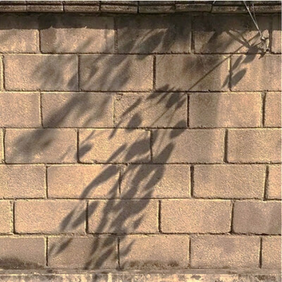 自制