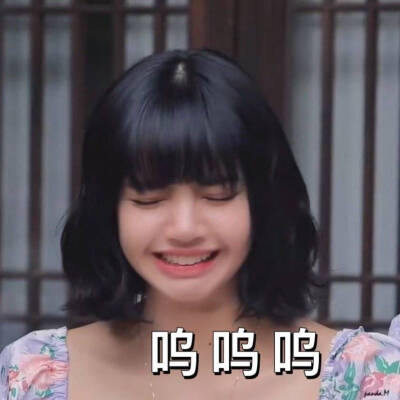 Lisa表情包