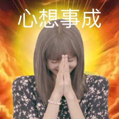 Lisa表情包