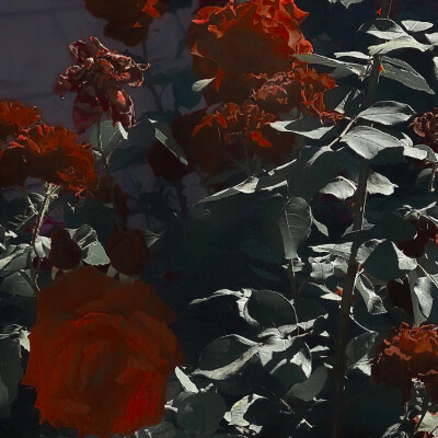  小朋友
快来叔叔这儿
-