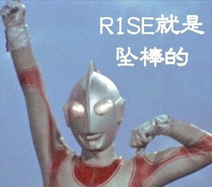 R1SE