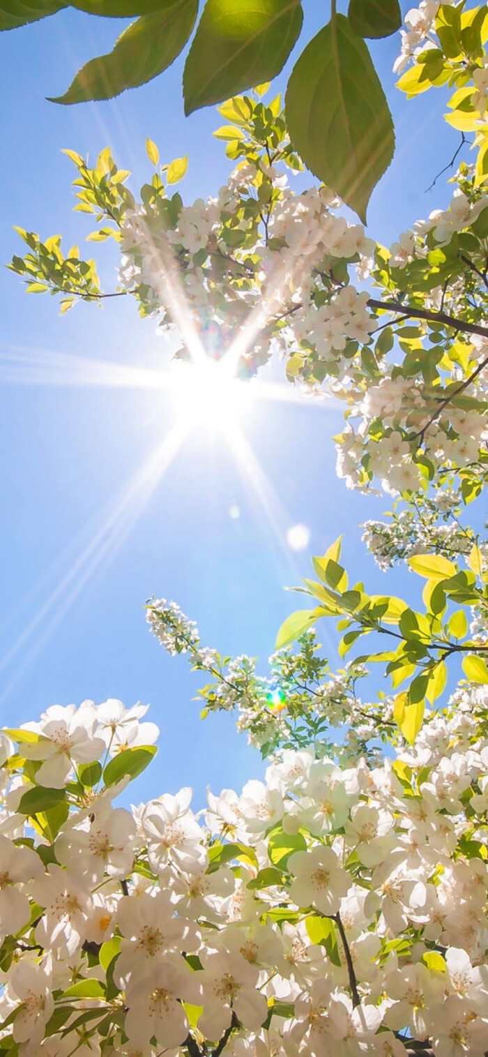 Iphone12 Pro Max 堆糖 美图壁纸兴趣社区