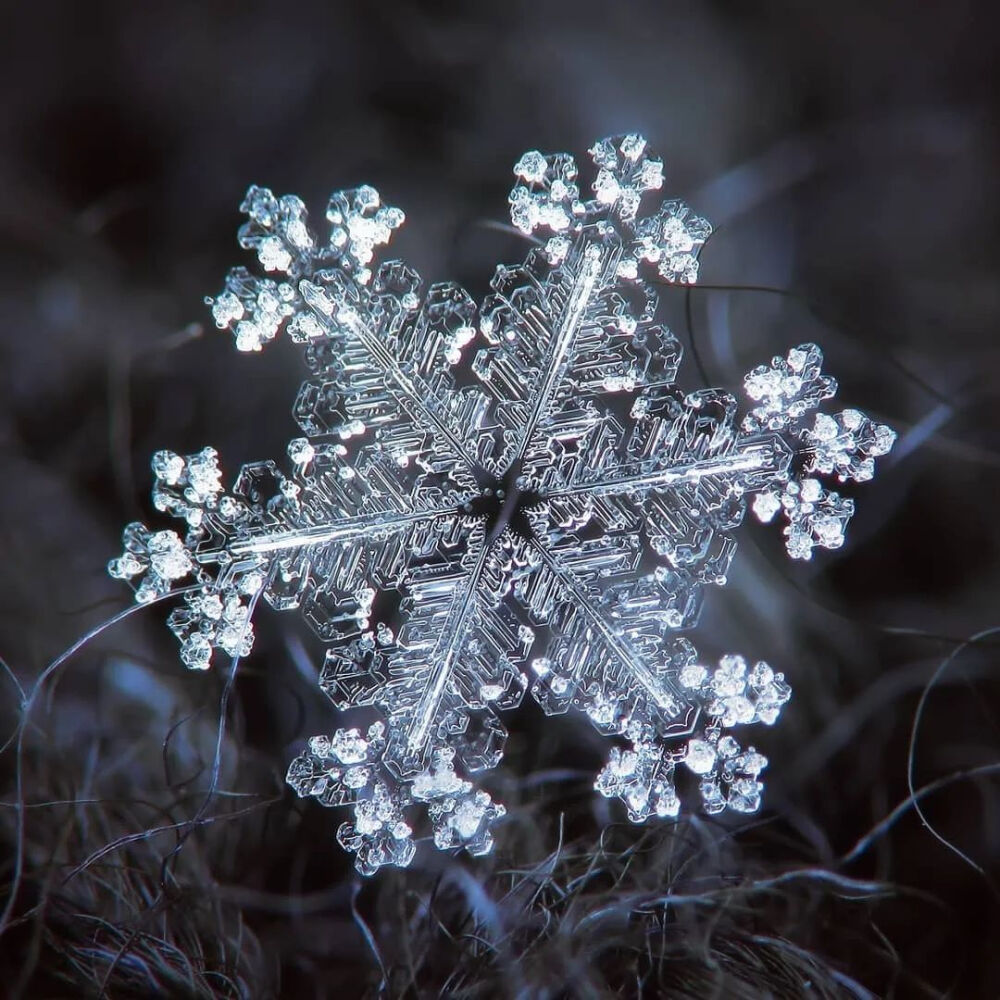 雪花图片美图大全图片