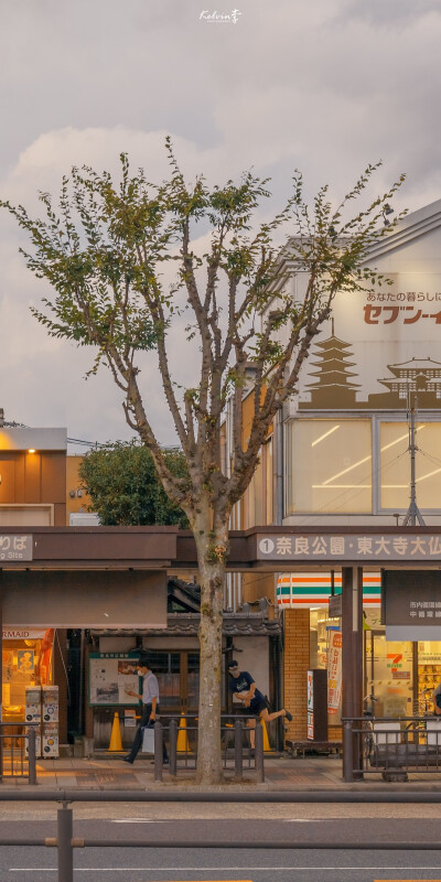 想在浪漫的夕阳下一起散步
「壁纸」