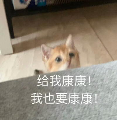 表情包