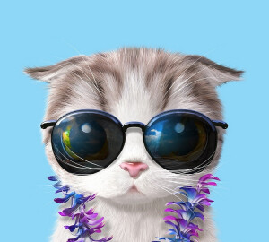 猫咪 头像 搞怪 插画 By_슈가캣 & 캔디도기