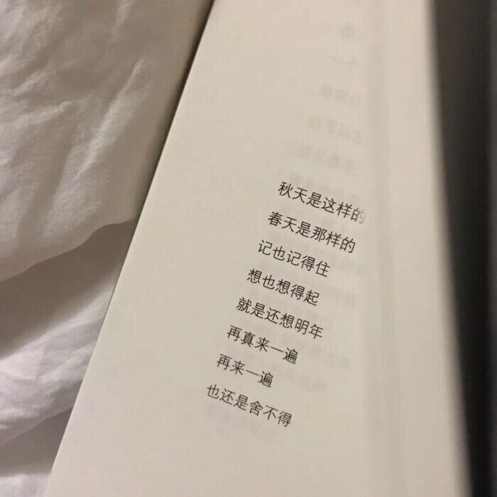 还是舍不得