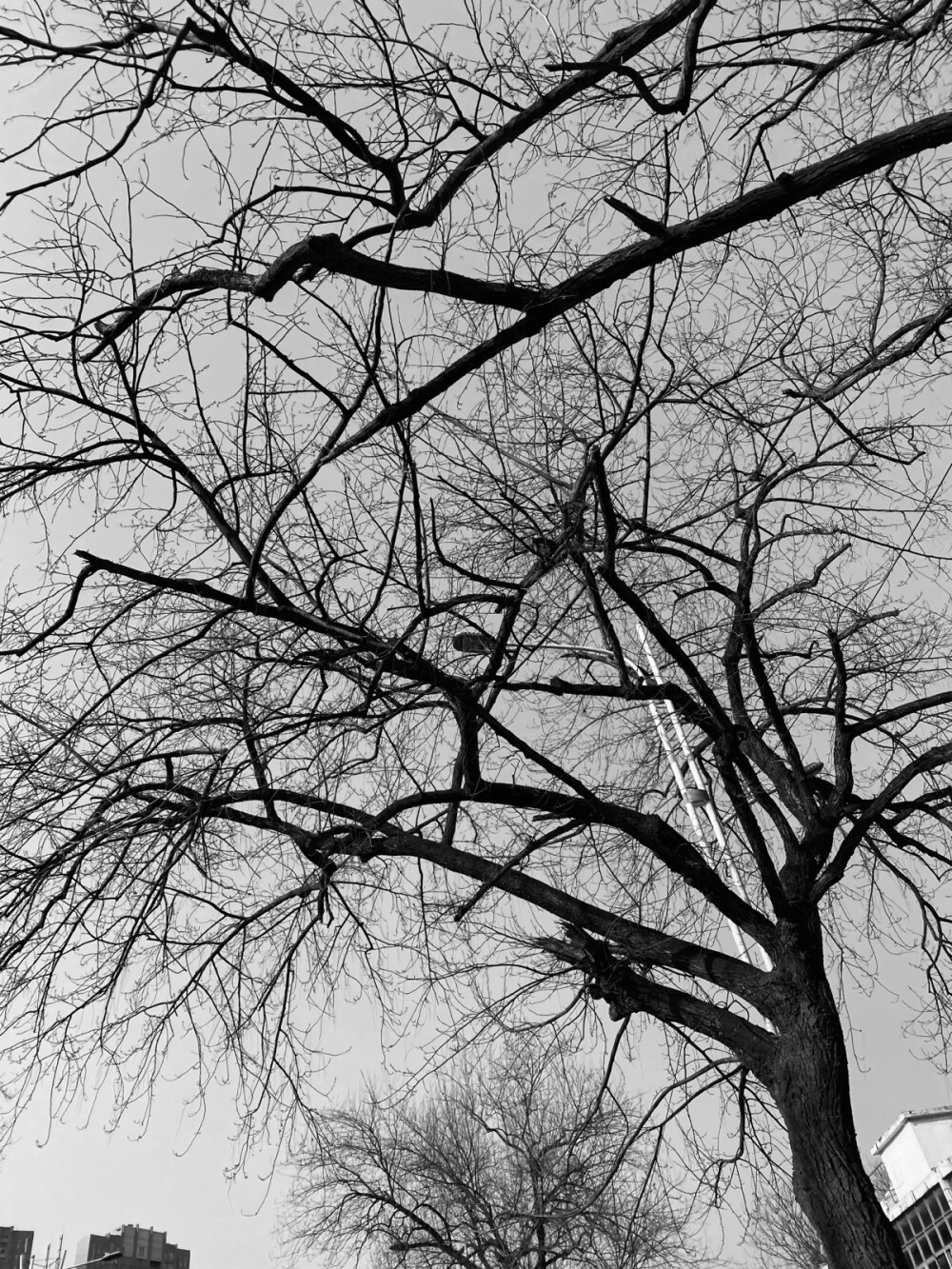 自己拍的背景图