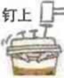 企鹅