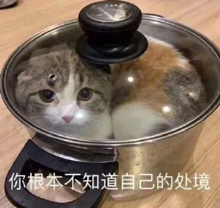 表情