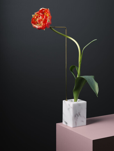 Carl Kleiner x Bloc Studios