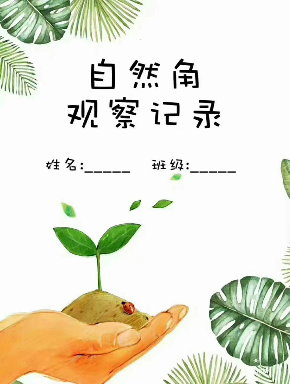 植物观察记录